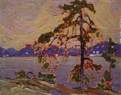 Tom Thomson Oil sketch for The Jack Pine Germany oil painting art